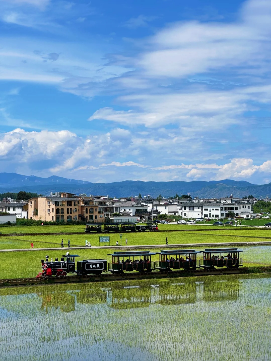 在大理,看稻田小火车这个视角太绝了_1_乐高_来自小红书网页版.jpg